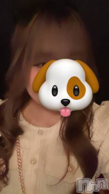 ܱХ顦֥ ץ ( ץ ޥĥ) ʤ(18)42̥֥42 2101ʬΥ֥