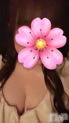 ܱХ顦֥ ץ ( ץ ޥĥ) ʤ(18)411̥֥411 2011ʬΥ֥