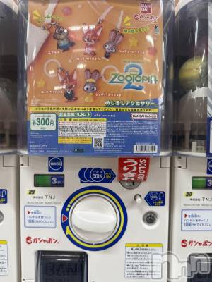 ���ܱ�������Х��顦����֥���� �ץ���� ����(����� �ץ���� �ޥĥ��) �ʤ�(18)��1��27���̥�֥�����1��27�� 21��27ʬ�Υ֥�����