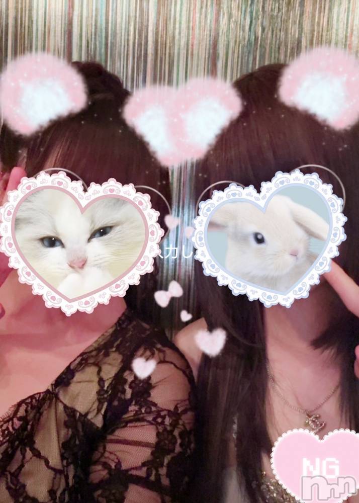 ܱХ顦֥ ץ ( ץ ޥĥ) Ҥʤ711̥֥711 2323ʬΥ֥