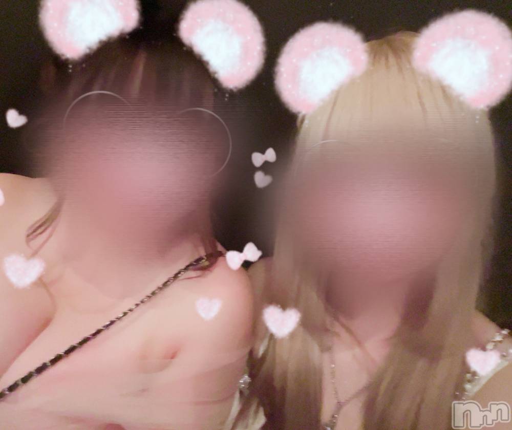 ܱХ顦֥ ץ ( ץ ޥĥ) Ҥʤ95̥֥95 2306ʬΥ֥