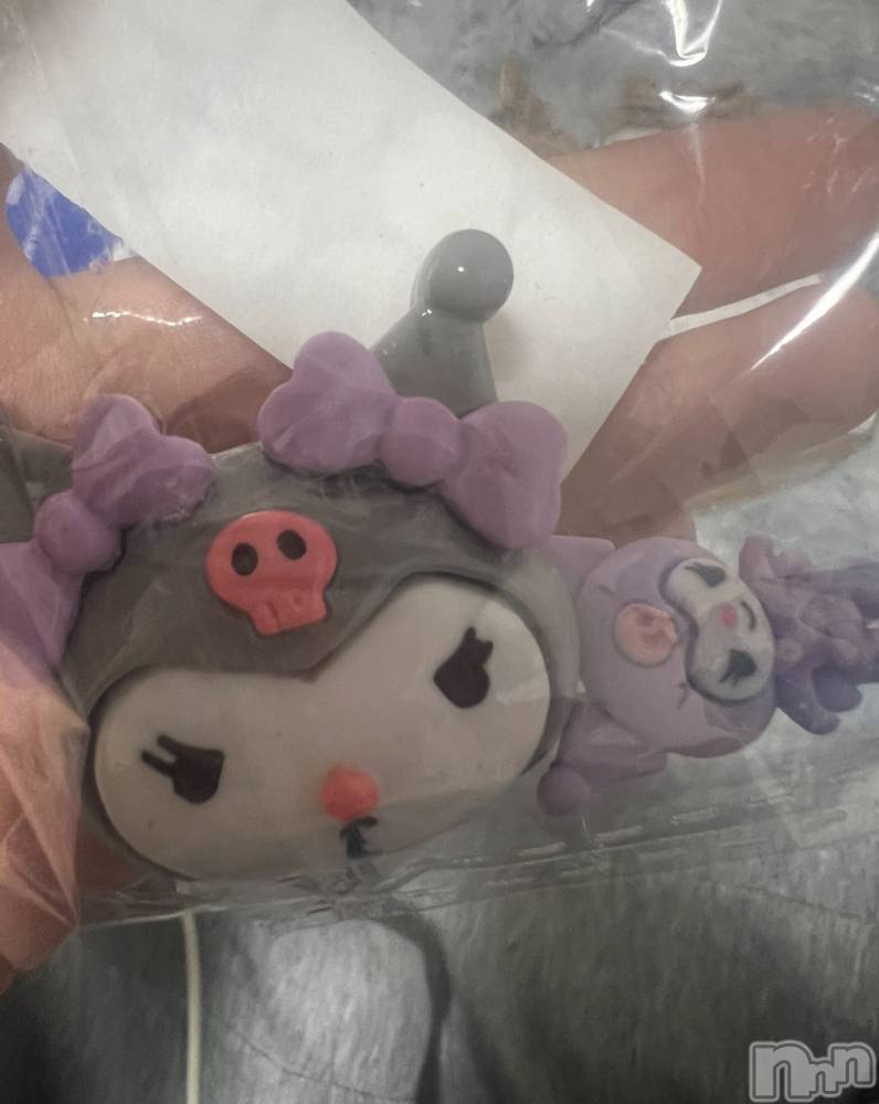 ܱХ顦֥ ץ ( ץ ޥĥ) Ҥʤ1021̥֥1021 2043ʬΥ֥