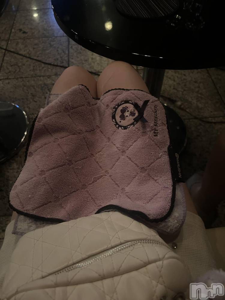 ܱХ顦֥ ץ ( ץ ޥĥ) Ҥʤ114̥֥114 2308ʬΥ֥