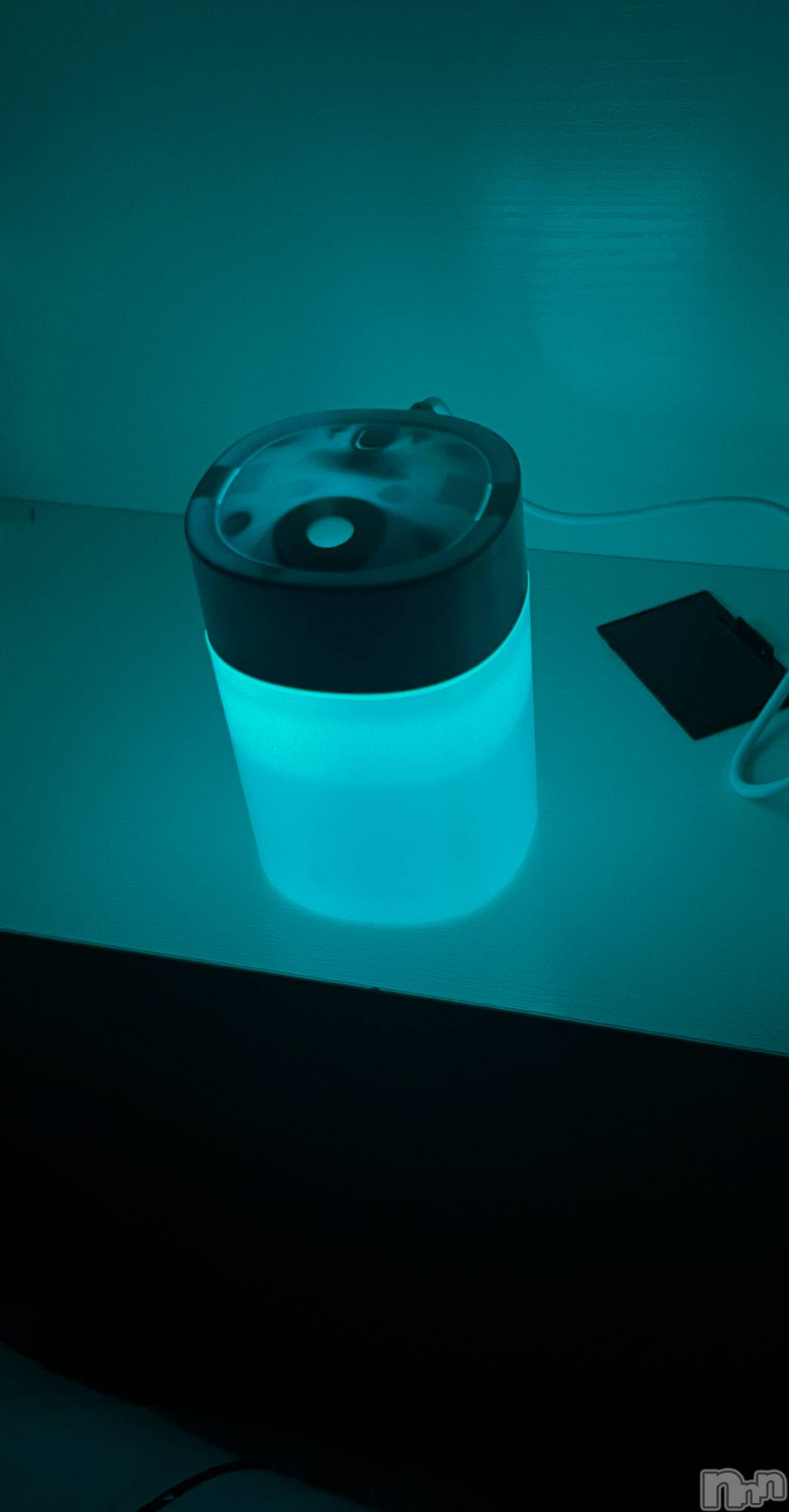 ܱХ顦֥ ץ ( ץ ޥĥ) 2025ǯ125̥֥125 2320ʬΥ֥