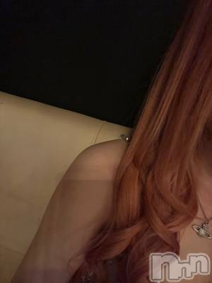 ܱХ顦֥ ץ ( ץ ޥĥ) Ҥʤ531̥֥531 2202ʬΥ֥
