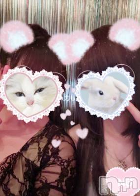 ܱХ顦֥ ץ ( ץ ޥĥ) Ҥʤ711̥֥711 2323ʬΥ֥