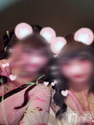 ܱХ顦֥ ץ ( ץ ޥĥ) Ҥʤ718̥֥718 2204ʬΥ֥