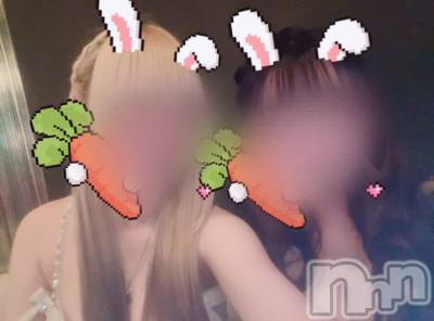 ܱХ顦֥ ץ ( ץ ޥĥ) Ҥʤ917̥֥917 2217ʬΥ֥