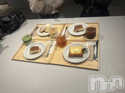 ܱХ顦֥ ץ ( ץ ޥĥ) Ҥʤ1017̥֥1017 2105ʬΥ֥