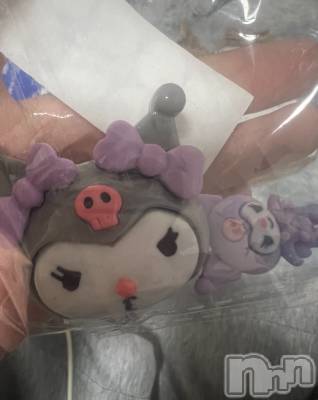 ܱХ顦֥ ץ ( ץ ޥĥ) Ҥʤ1021̥֥1021 2043ʬΥ֥