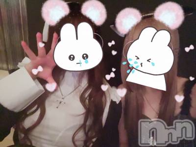 ܱХ顦֥ ץ ( ץ ޥĥ) Ҥʤ1026̥֥1026 0055ʬΥ֥