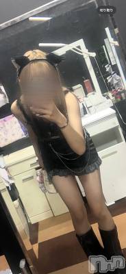 ܱХ顦֥ ץ ( ץ ޥĥ) Ҥʤ1028̥֥1028 2141ʬΥ֥