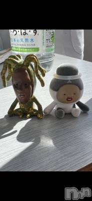 ܱХ顦֥ ץ ( ץ ޥĥ) Ҥʤ111̥֥111 0015ʬΥ֥