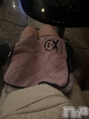 ܱХ顦֥ ץ ( ץ ޥĥ) Ҥʤ114̥֥114 2308ʬΥ֥