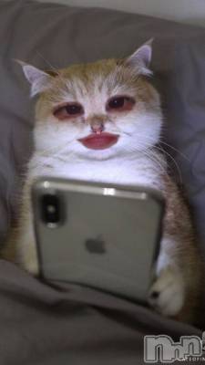 ���ܱ�������Х��顦����֥���� �ץ���� ����(����� �ץ���� �ޥĥ��) �Ҥʤ�2��15���̥�֥�����2��15�� 00��09ʬ�Υ֥�����