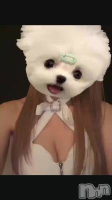 9��28�� 20��35ʬ�Υ֥���
