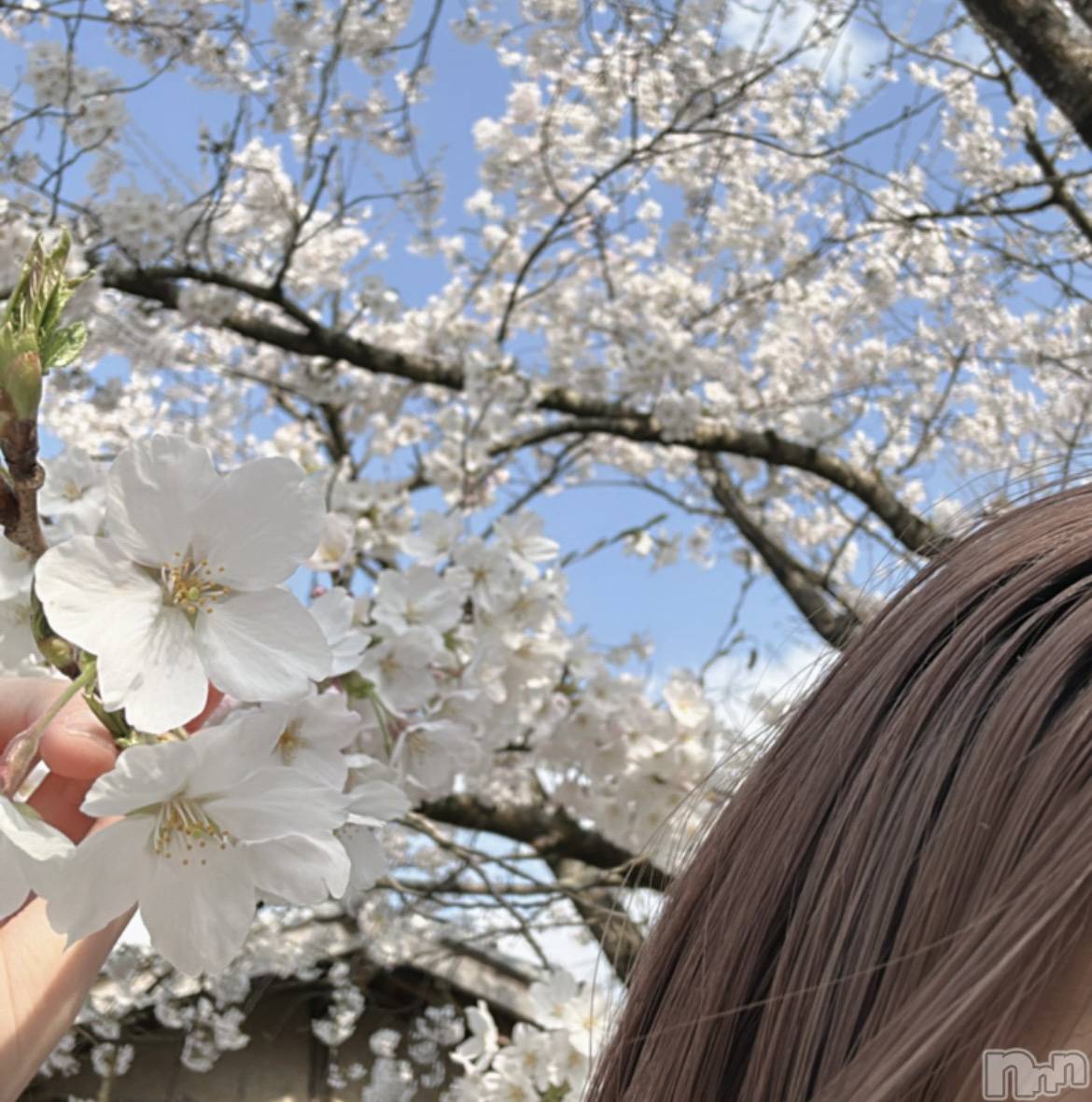 Х顦CLUB Reve-졼-(֥졼) 2025ǯ411ֺ̥֥餤Ƥ🌸