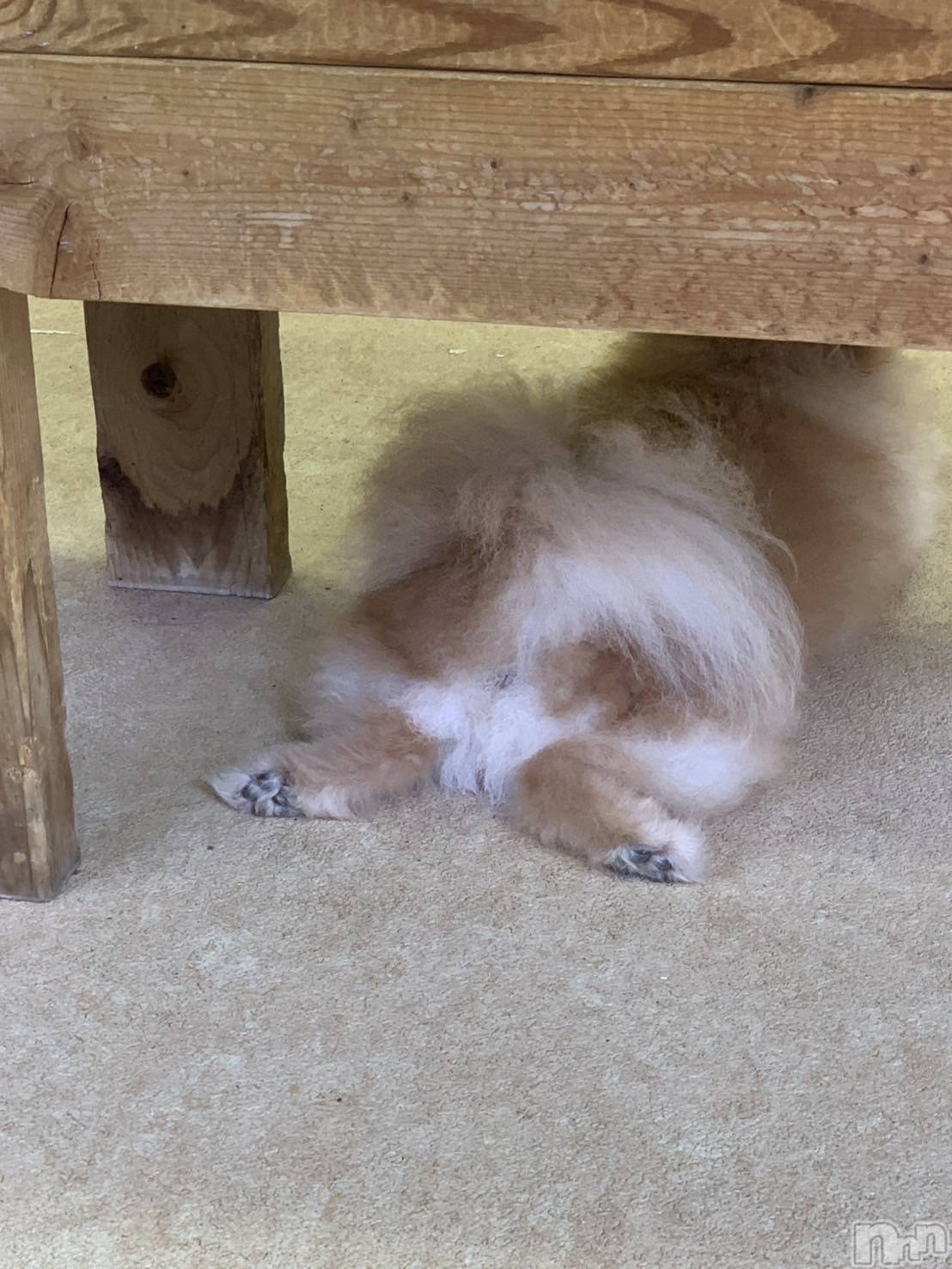 Х顦CLUB Reve-졼-(֥졼) 2025ǯ813̥֥֤‎•ﻌ•`🐾