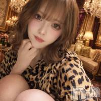 神白石 エミ さんのプロフィール画像