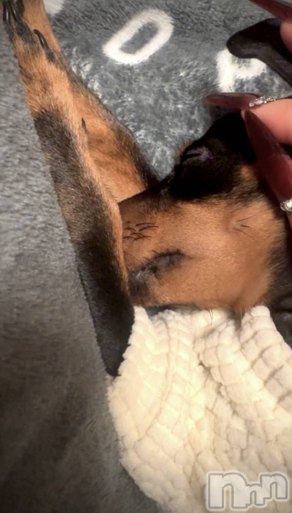 ƲХ顦Lounge Veranda(饦󥸥٥) ߤ121ֽ̥֥жС