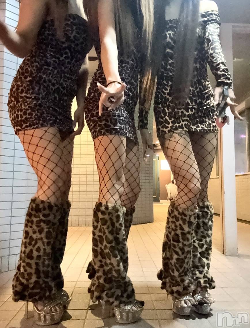 ƲХ顦Lounge Veranda(饦󥸥٥) 2025ǯ111ֽ̥֥жС