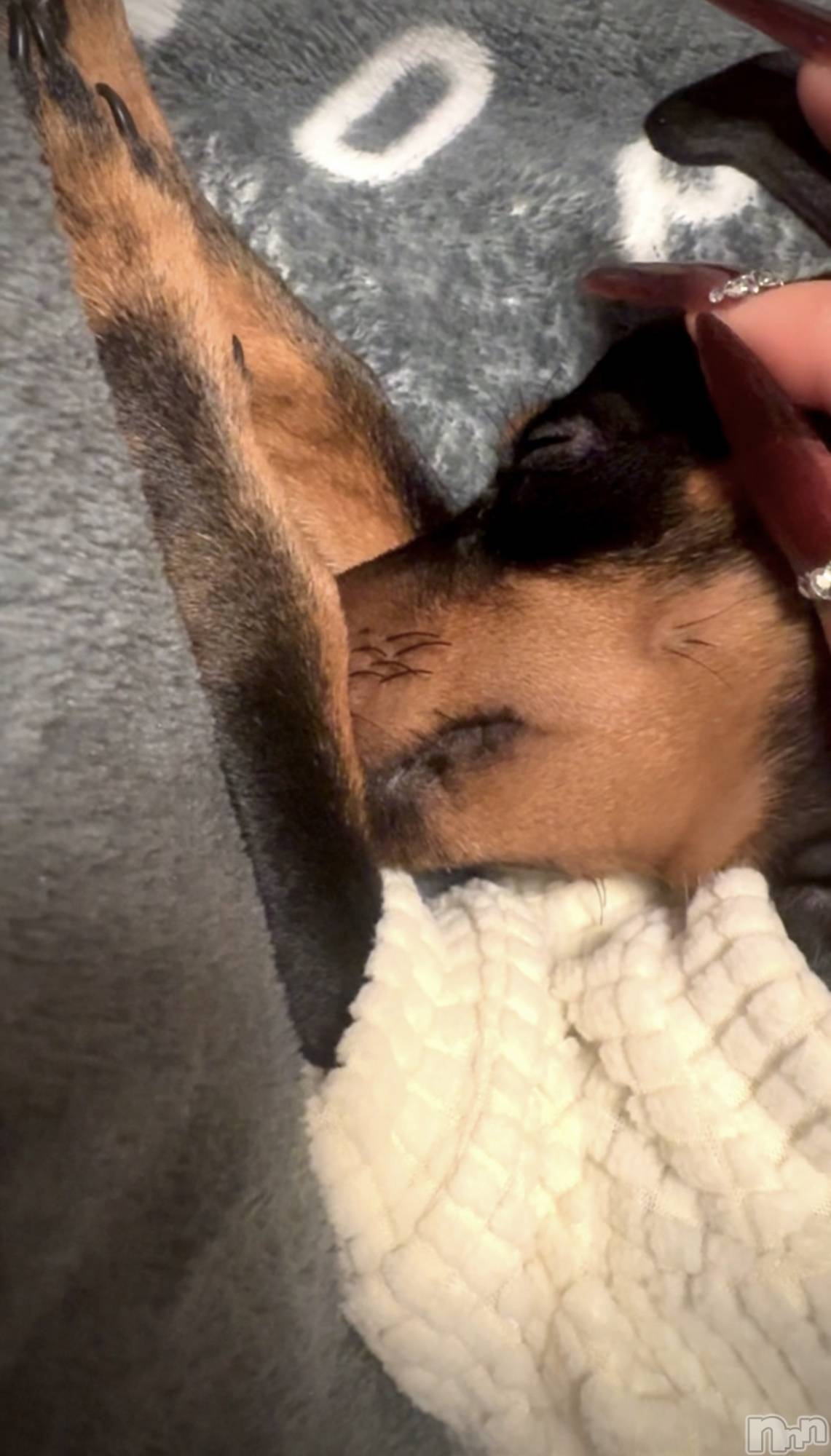 ƲХ顦Lounge Veranda(饦󥸥٥) 2025ǯ121ֽ̥֥жС