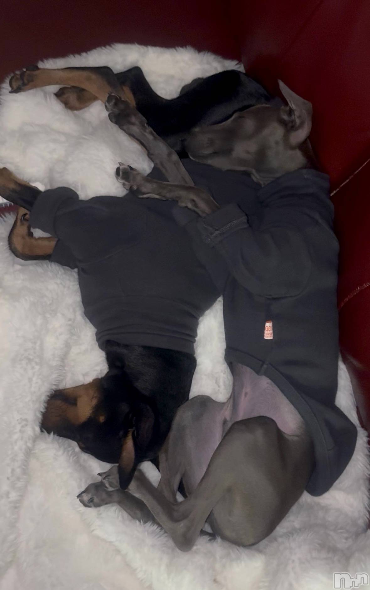 ��Ʋ����Х��顦�����Lounge Veranda(�饦�󥸥٥���) ��2026ǯ2��2���̥�֥����֤�����衼��