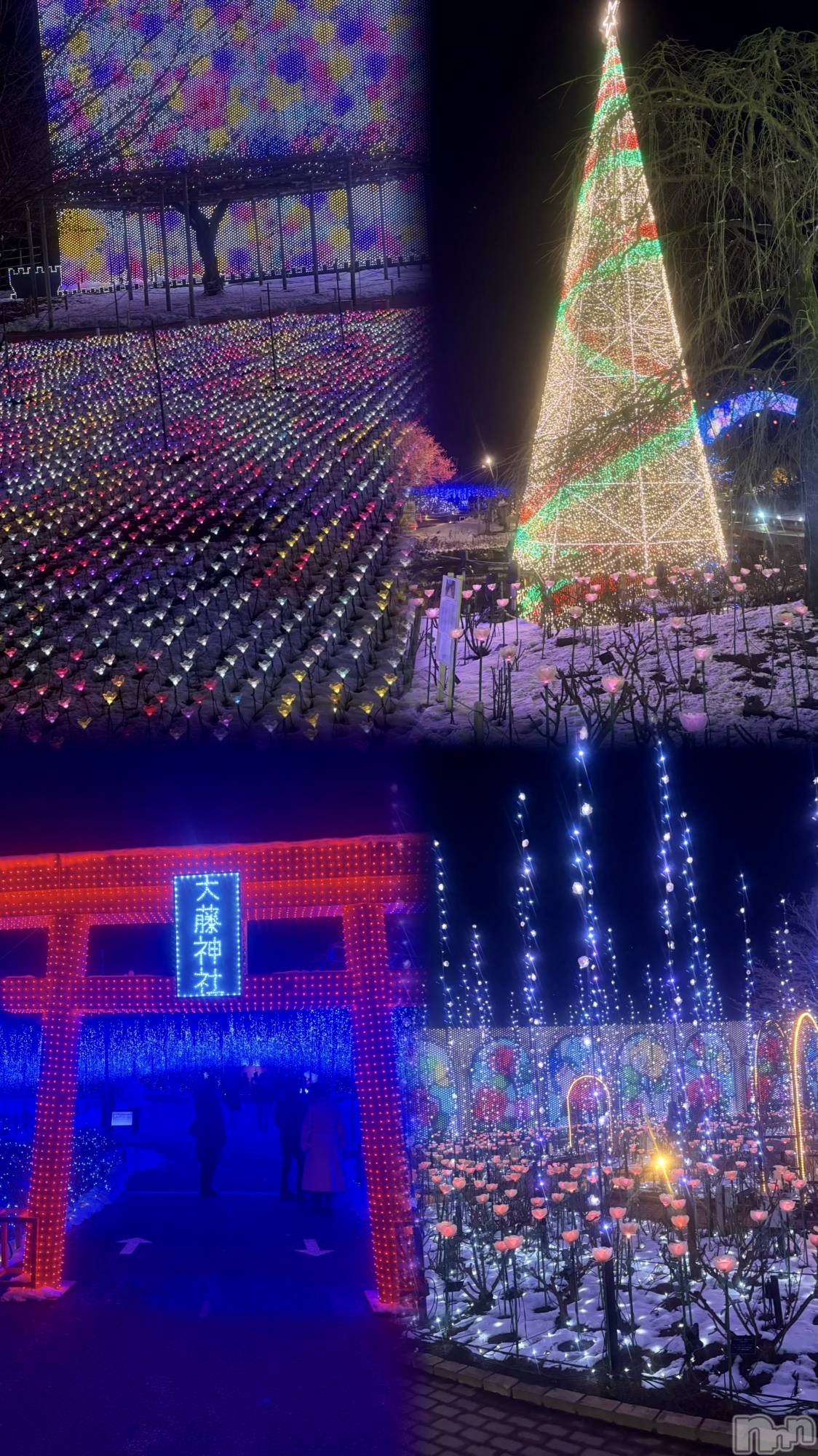 ��Ʋ����Х��顦�����Lounge Veranda(�饦�󥸥٥���) ��2026ǯ2��9���̥�֥����ֽжС�