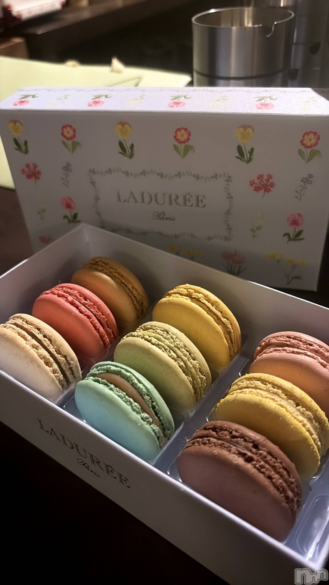 ��Ʋ����Х��顦�����Lounge Veranda(�饦�󥸥٥���) ��2026ǯ3��16���̥�֥����ֽжС�^^��