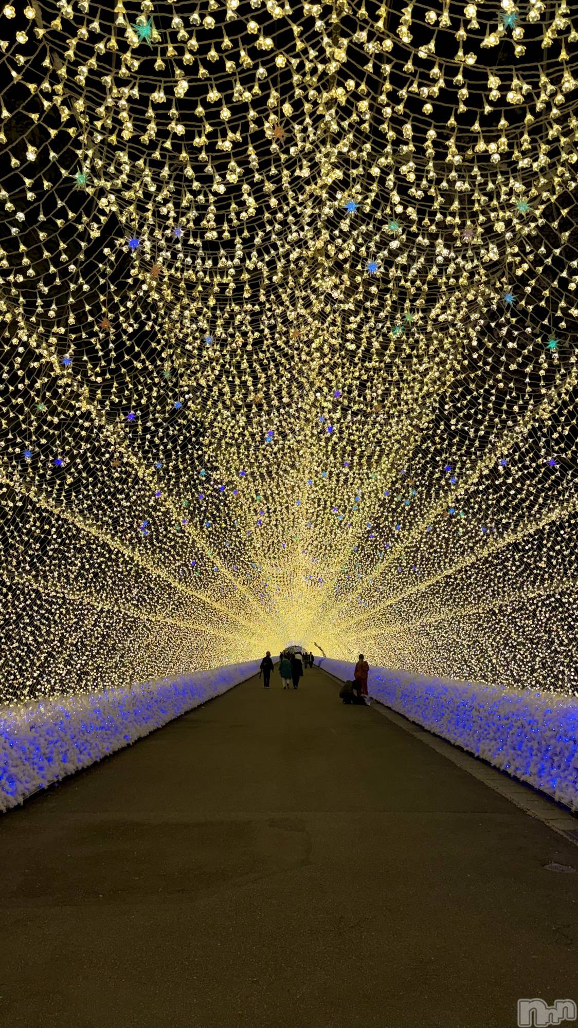 ��Ʋ����Х��顦�����Lounge Veranda(�饦�󥸥٥���) ��2026ǯ3��31���̥�֥����ֽжС�