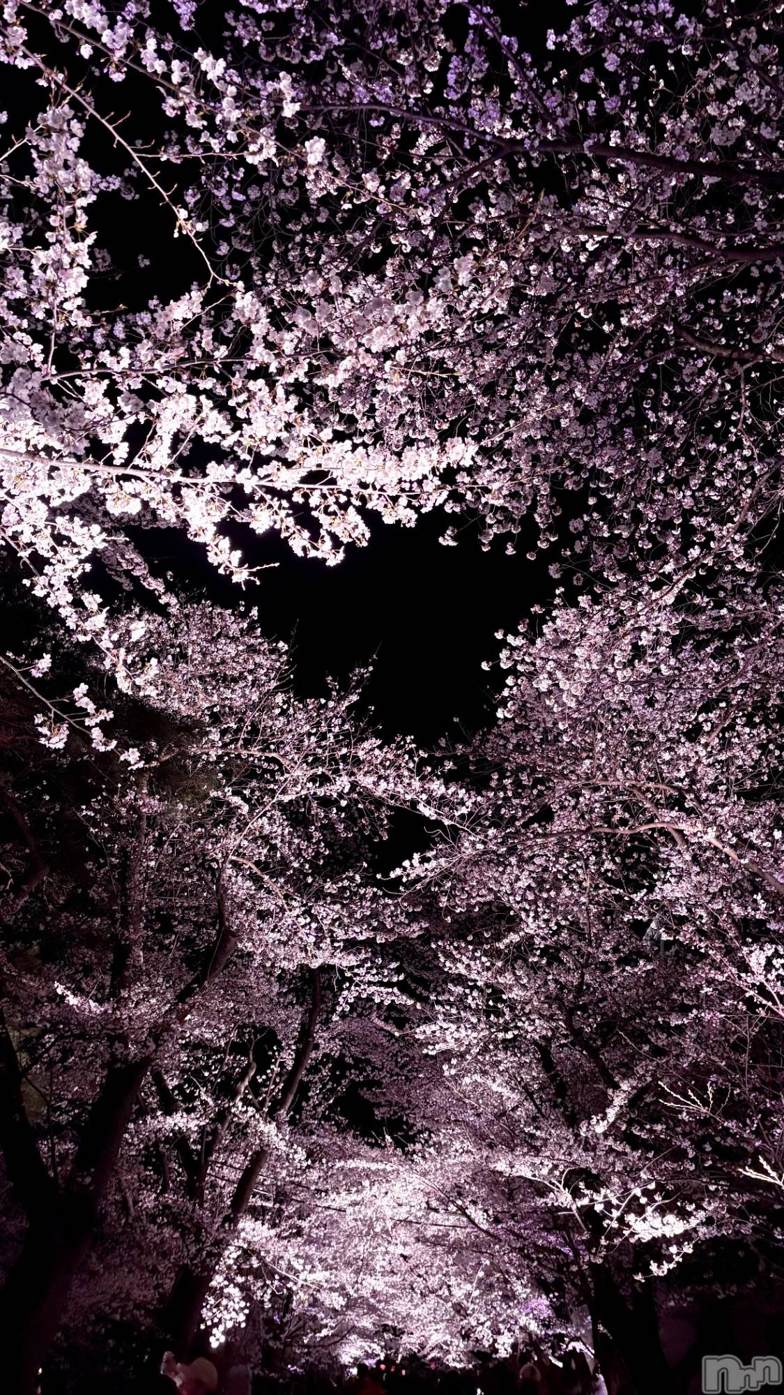 ��Ʋ����Х��顦�����Lounge Veranda(�饦�󥸥٥���) ��2026ǯ4��7���̥�֥����֤��塼��