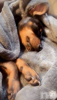 ƲХ顦Lounge Veranda(饦󥸥٥) ߤ1126̥֥֤