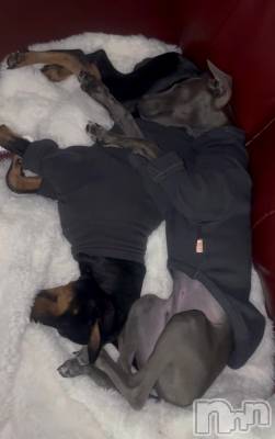 ��Ʋ����Х��顦�����Lounge Veranda(�饦�󥸥٥���) �ߤ��2��2���̥�֥����֤�����衼��