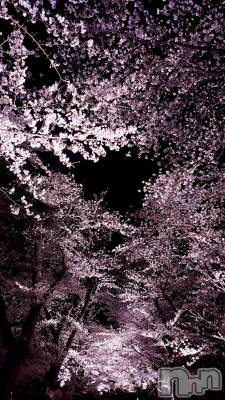 ��Ʋ����Х��顦�����FORTUNE LOUNGE(�ե��������饦��) �ߤ��4��7���̥�֥����֤��塼��