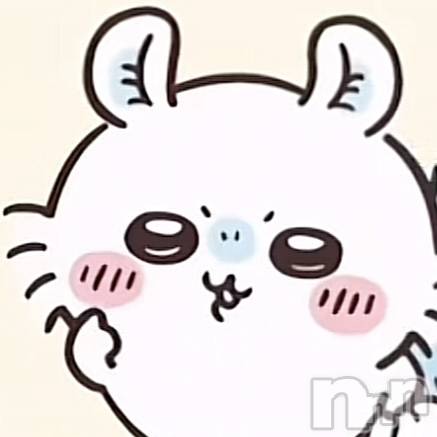 Х顦Diletto(ǥå) ꤢ65̥֥֥󥬡♡
