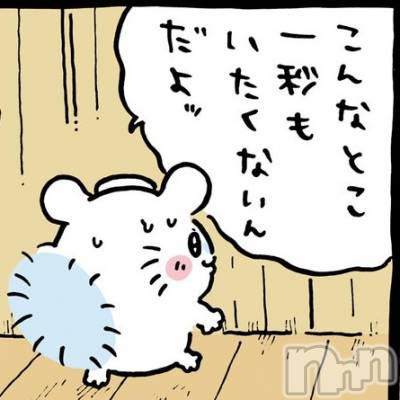 Х顦Diletto(ǥå) ꤢ623̥֥֥󥬤♡