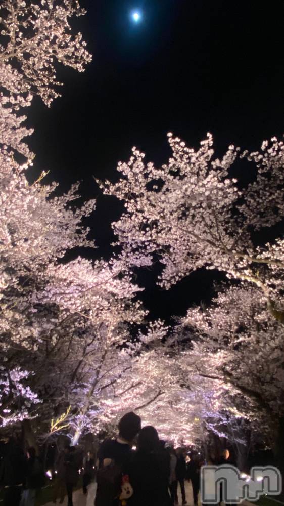 Įʥå륺С&饪BAR  L  STYLE(С륹) ŷ-sora-410̥֥🌸ָ🌸