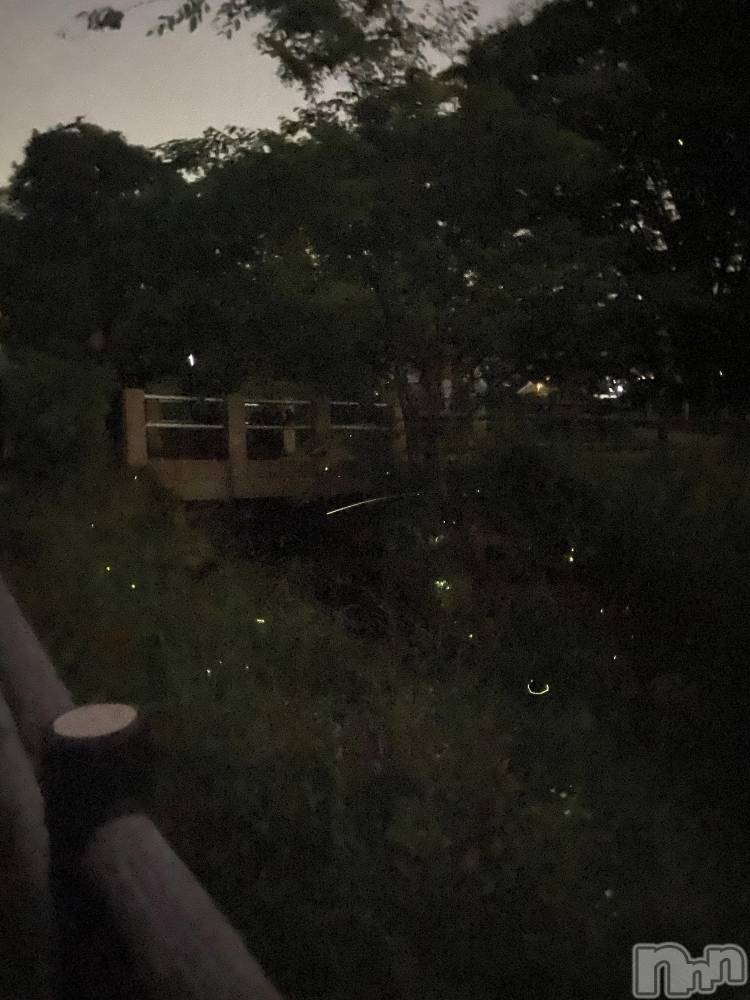 Įʥå륺С&饪BAR  L  STYLE(С륹) ŷ-sora-69̥֥❔פäƤΤȡ❔