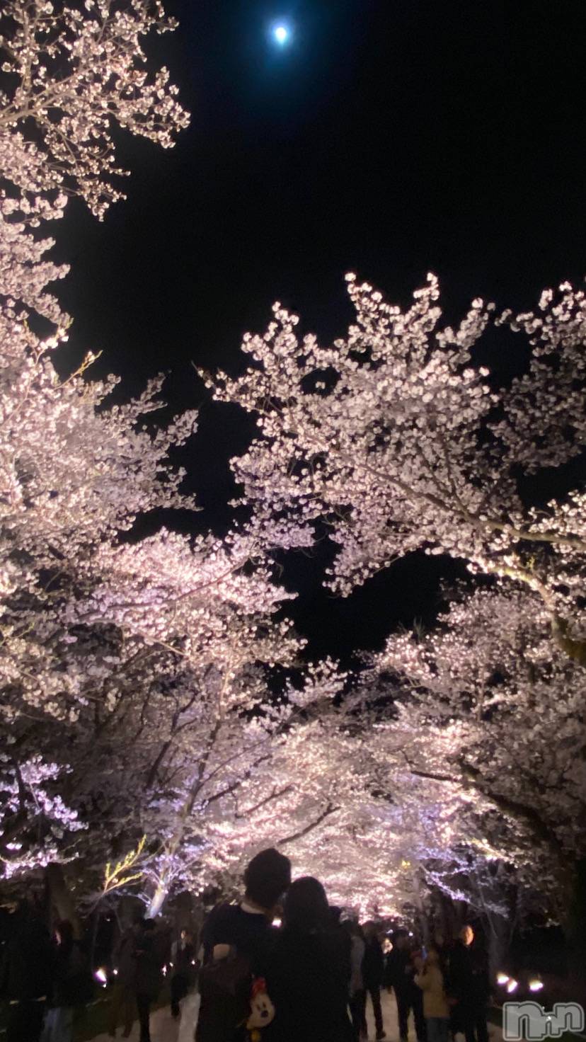 Įʥå륺С&饪BAR  L  STYLE(С륹) 2025ǯ410̥֥🌸ָ🌸