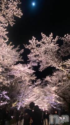 Įʥå륺С&饪BAR  L  STYLE(С륹) ŷ-sora-(20)410̥֥🌸ָ🌸