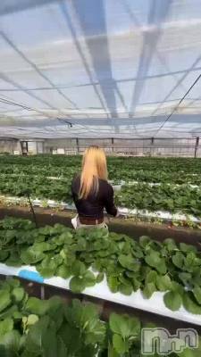 🍓 🍓