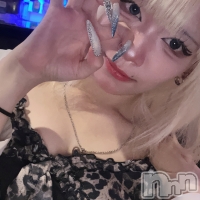 ������&���饪��BAR  L  STYLE