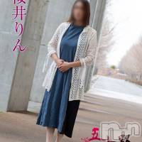 桜井りん