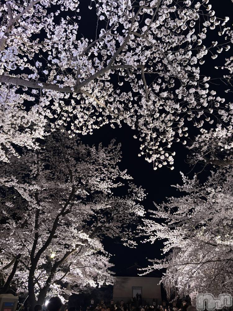 Х顦Club Ludan(֥) ꤿ412ֹ̥֥Ĥκ🌸