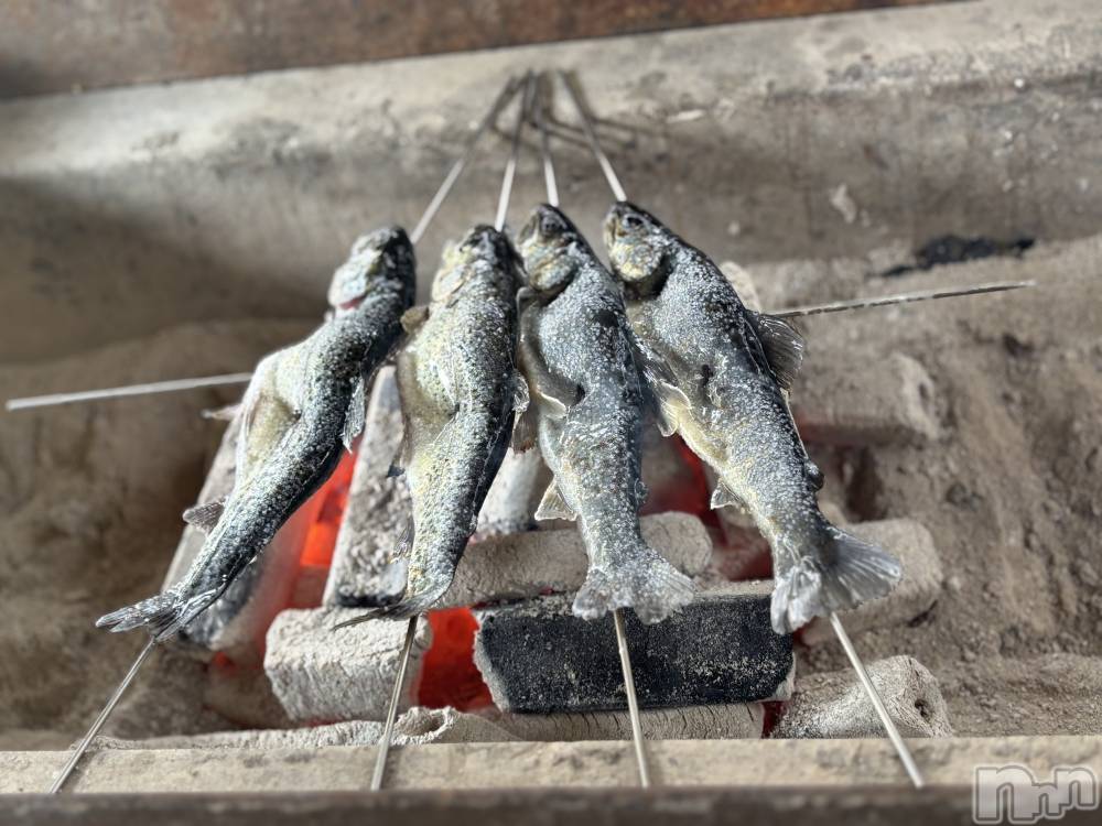 ��ˬ����Х��顦����֥���� �ץ���� ��ˬ(����� �ץ���� ����) ɢ�� ��ͤ�4��19���̥�֥�����BBQ��