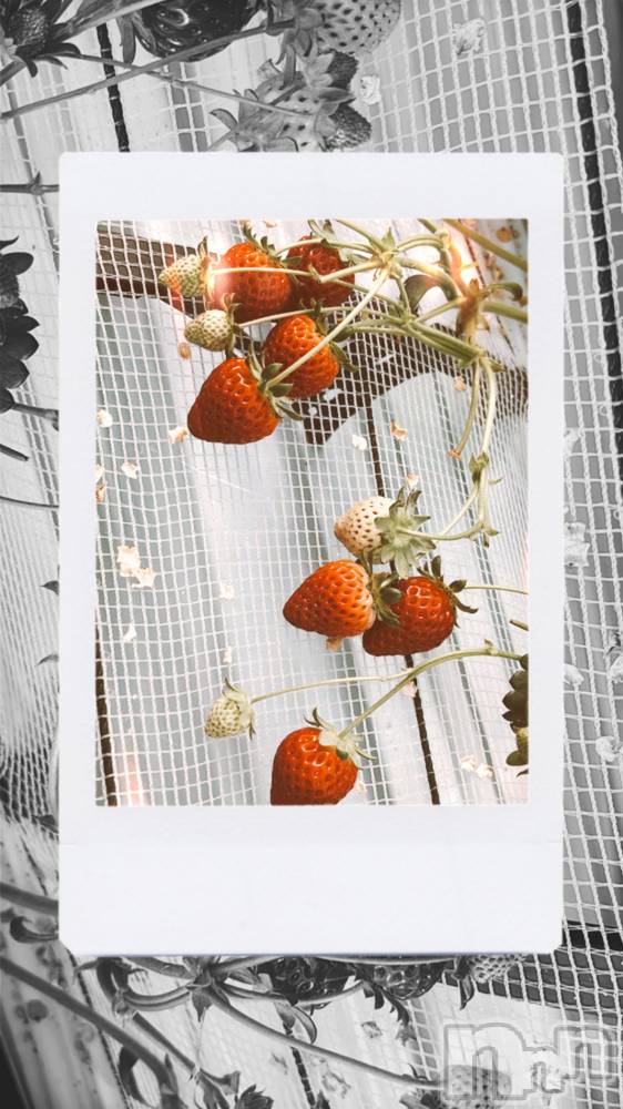 ��ˬ����Х��顦����֥���� �ץ���� ��ˬ(����� �ץ���� ����) ɢ�� ��ͤ�5��29���̥�֥�����🫧ྀི��