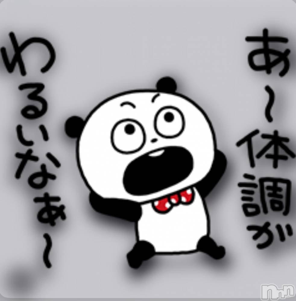 ��ˬ����Х��顦����֥���� �ץ���� ��ˬ(����� �ץ���� ����) ɢ�� ��ͤ�6��7���̥�֥�����🤒��