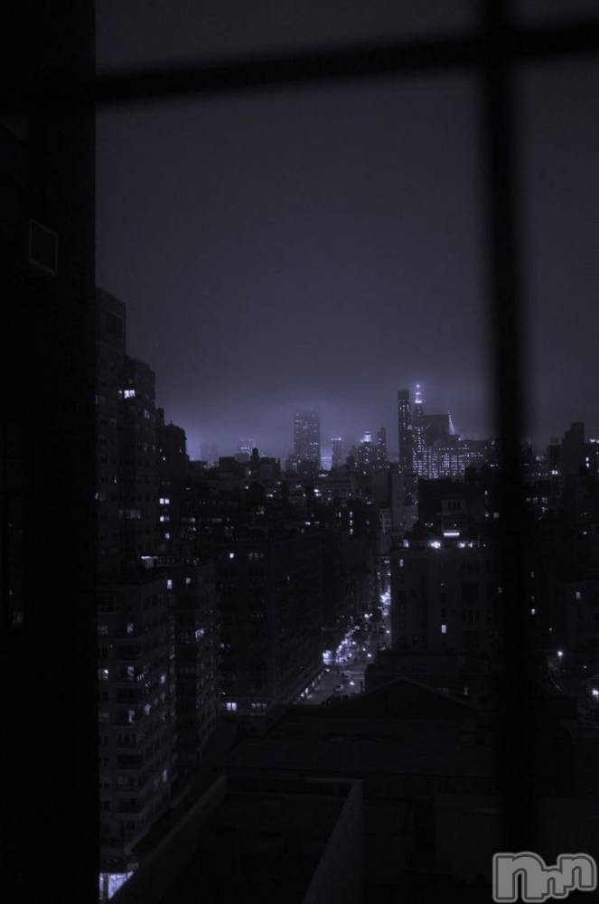 ��ˬ����Х��顦����֥���� �ץ���� ��ˬ(����� �ץ���� ����) ɢ�� ��ͤ�7��12���̥�֥�����🫩��