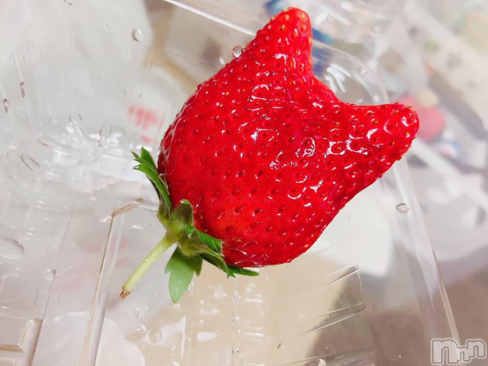 ��ˬ����Х��顦����֥���� �ץ���� ��ˬ(����� �ץ���� ����) ɢ�� ��ͤ�8��21���̥�֥�����👼🏻��