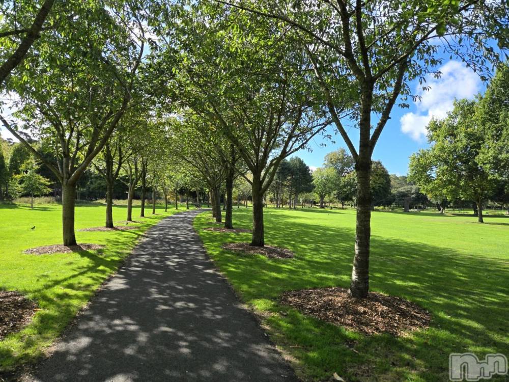 ��ˬ����Х��顦����֥���� �ץ���� ��ˬ(����� �ץ���� ����) ɢ�� ��ͤ�9��17���̥�֥�����🫥��